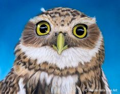 Burrowing Owl in pastel