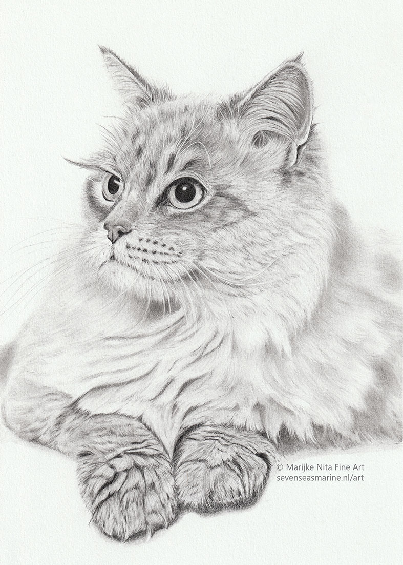 Aki in graphite