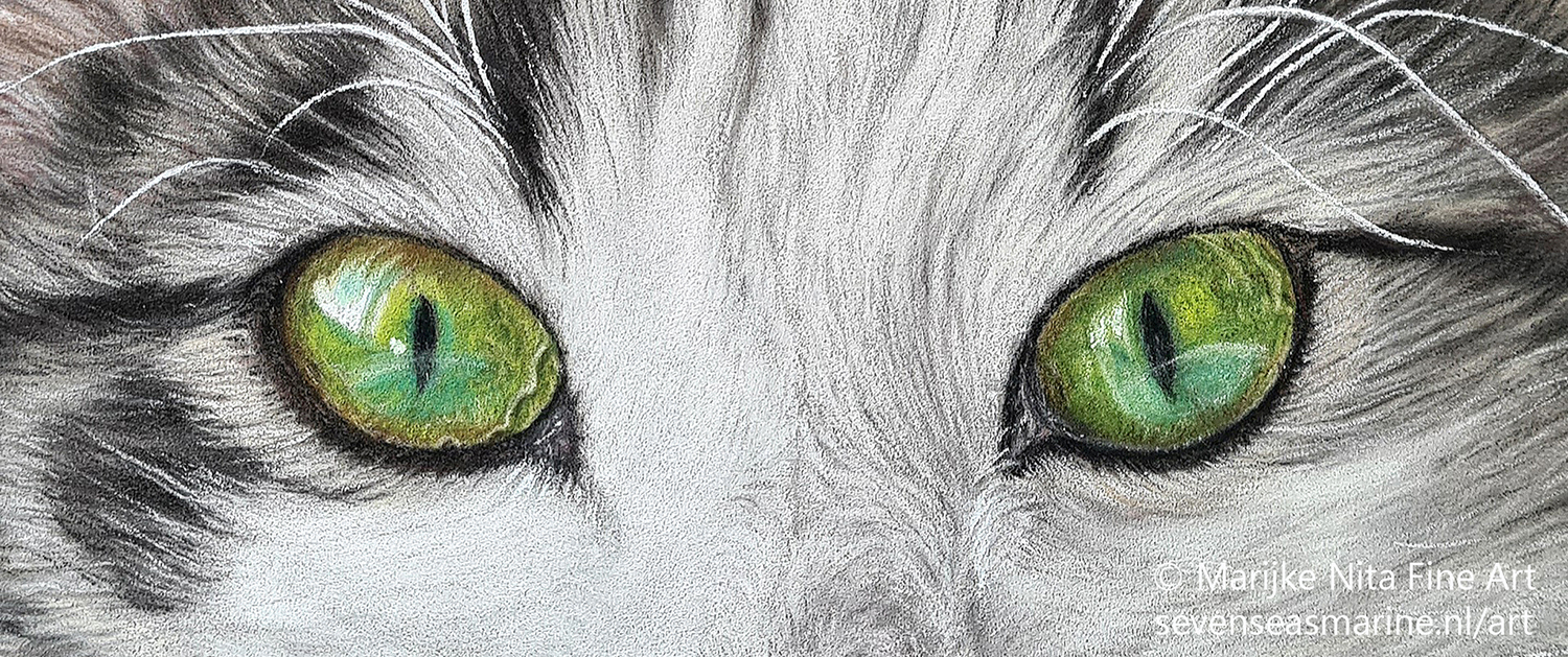 Cat Eyes in pastels