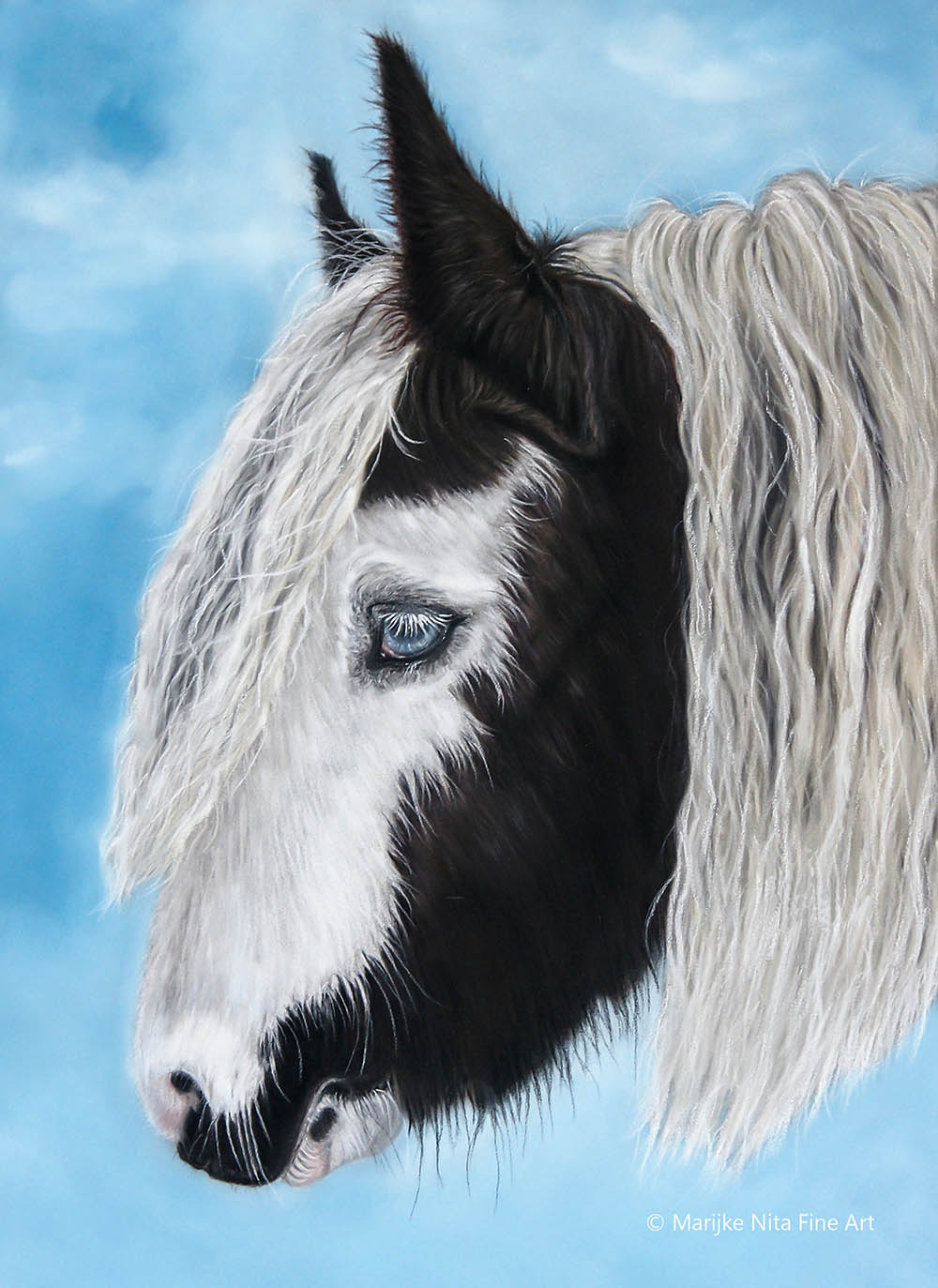 Gypsy vanner in pastel