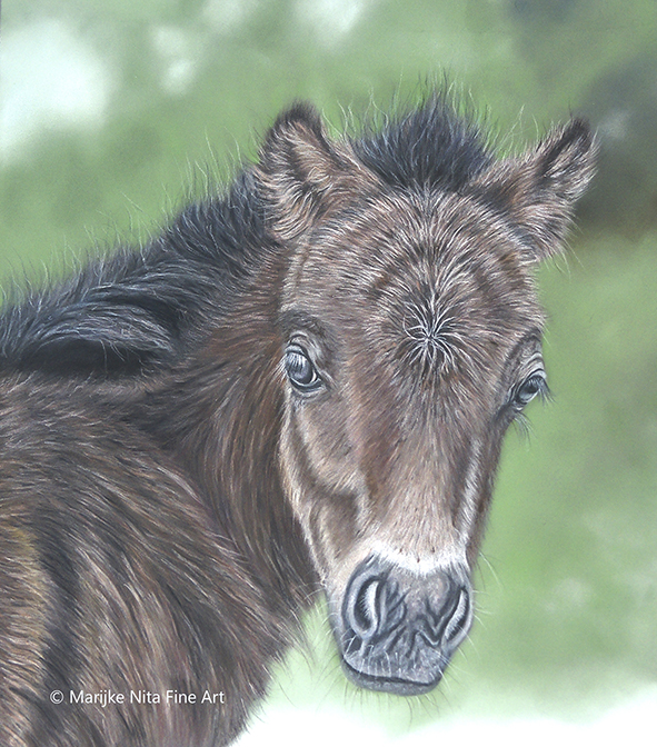 Foal in mixed media