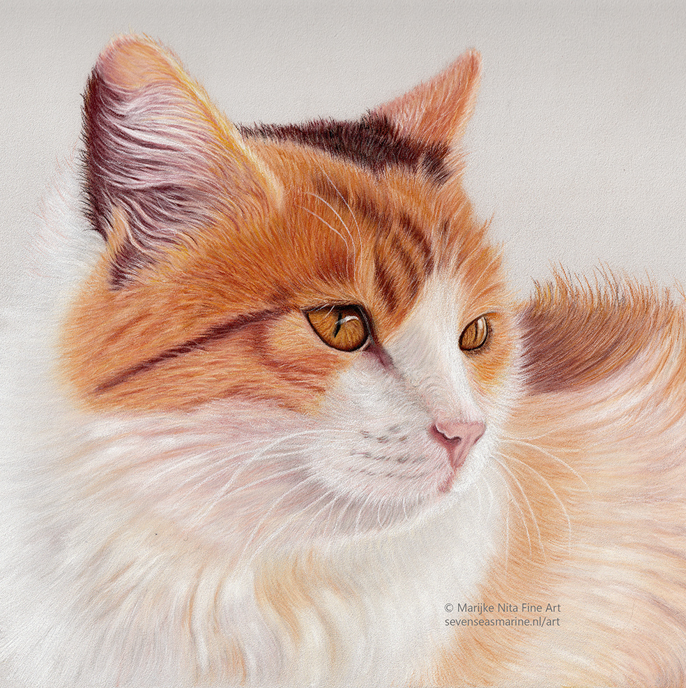 Misja in pastels