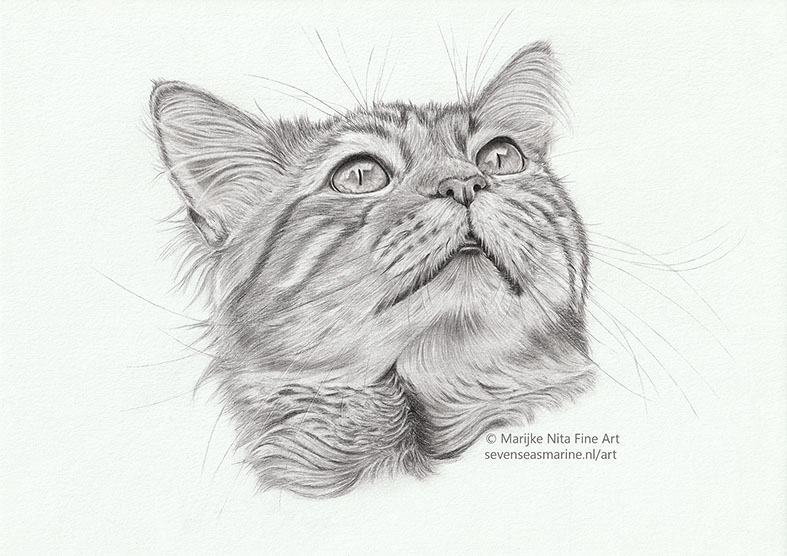 Scribbles in graphite