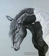 Horse in grey tones (pastels)