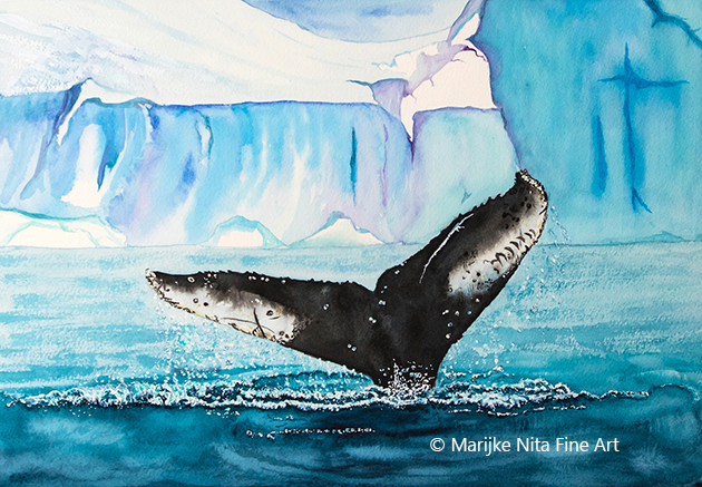 Humpback fluke in aquarel