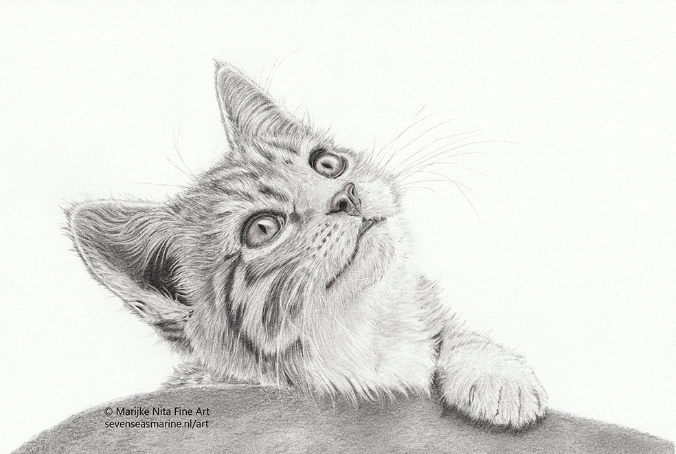 Felix in graphite