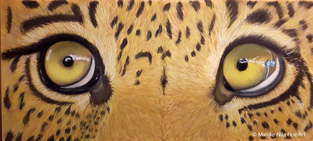 Leopard Eyes in pastel