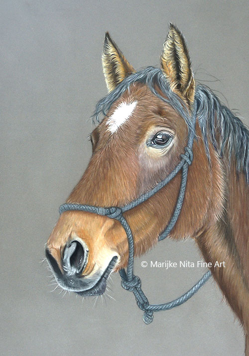 Horse in mixed media