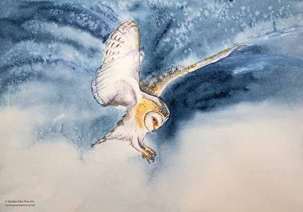 Barn Owl in aquarel
