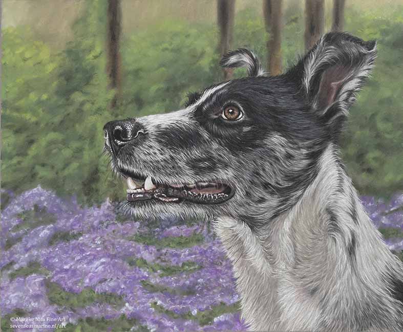 Bella in Pastels