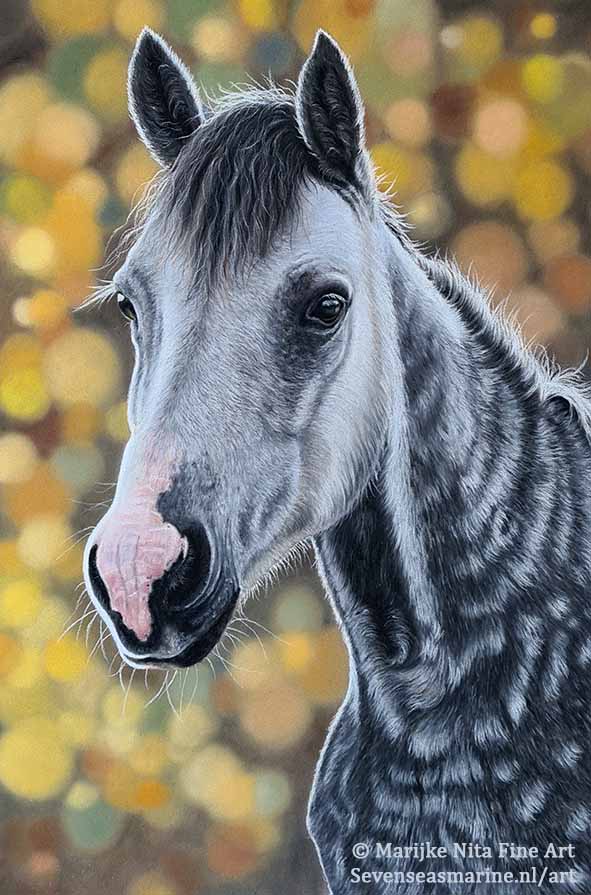Dapple in Pastels