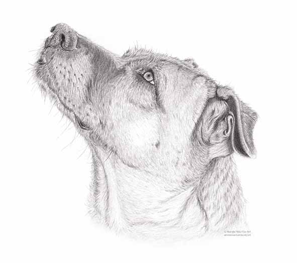 Gina in Graphite
