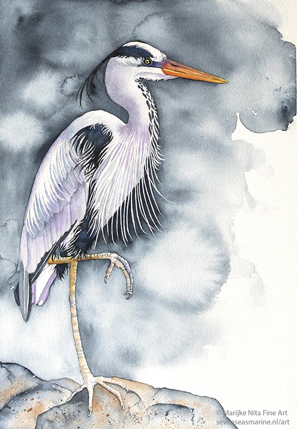 Heron in aquarel