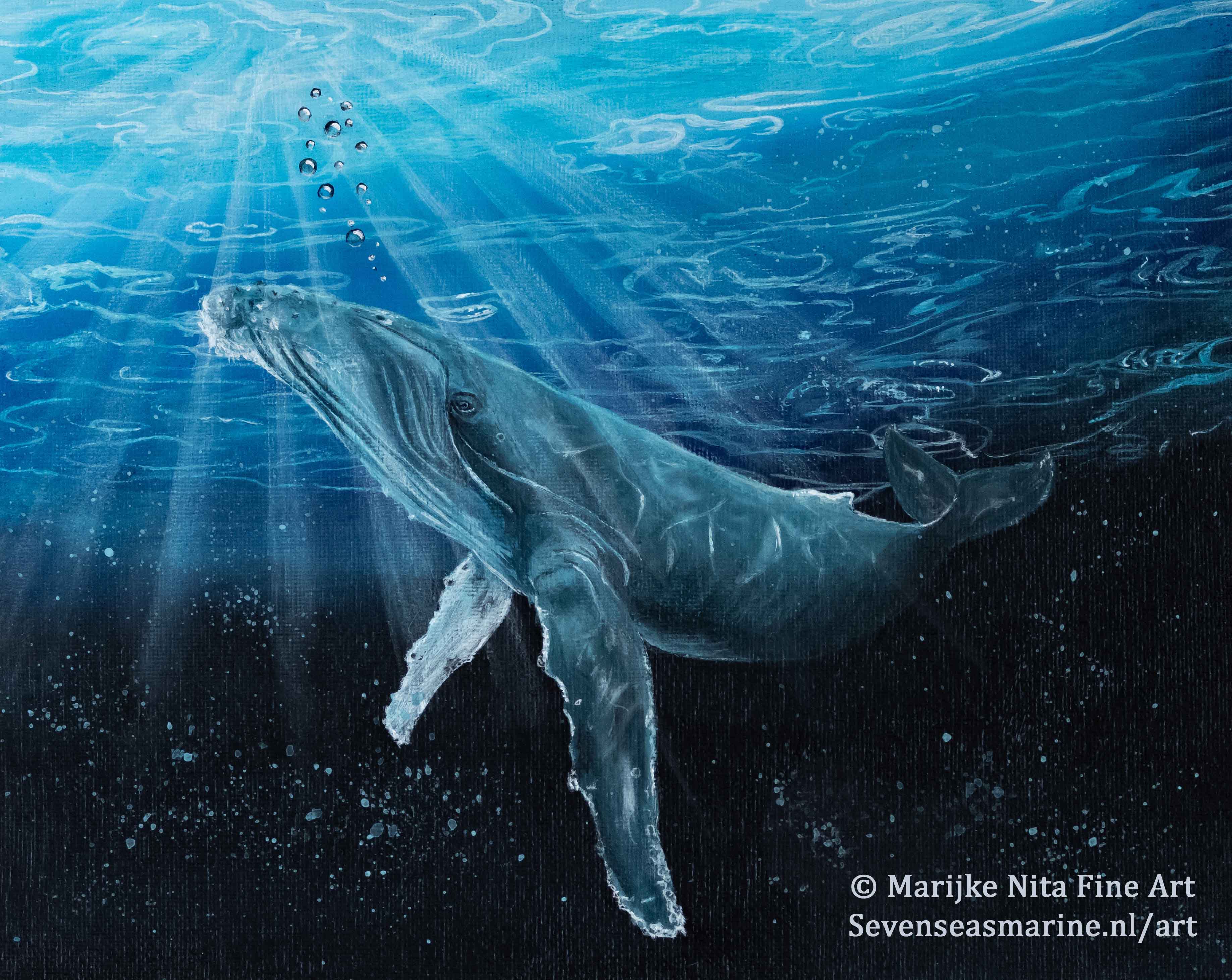 Humpback whale in acrylics