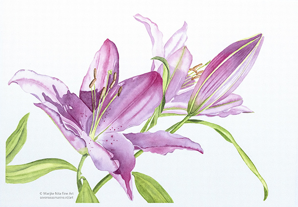 Lilies in aquarel