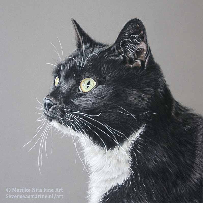 Joey in pastels