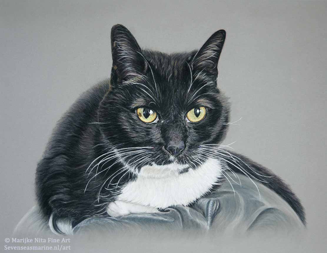 Joey in Pastels
