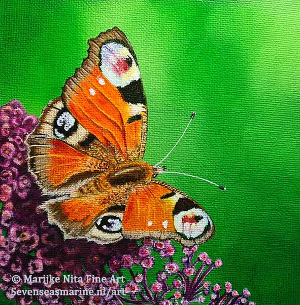 Peacock butterfly in Acrylics