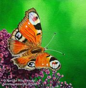 Peacock butterfly in Acrylics