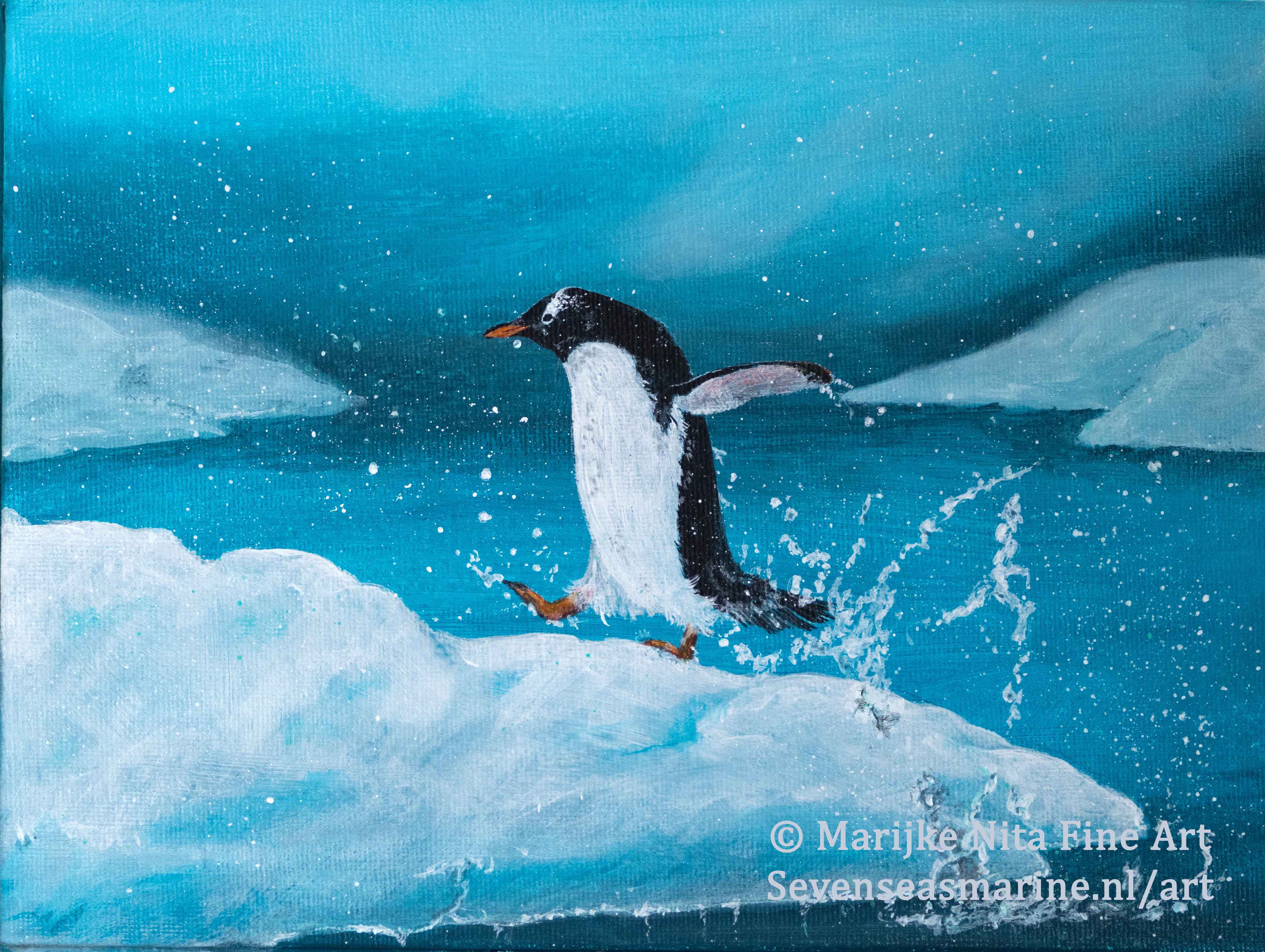 Gentoo in acrylics
