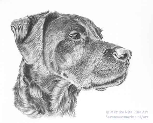 Sarah in Graphite