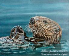 Sea otter in acrylics
