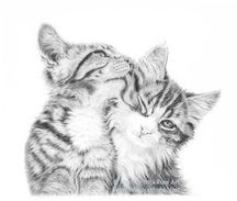 Two Kittens_Graphite Portrait_Marijke Nita Fine Art