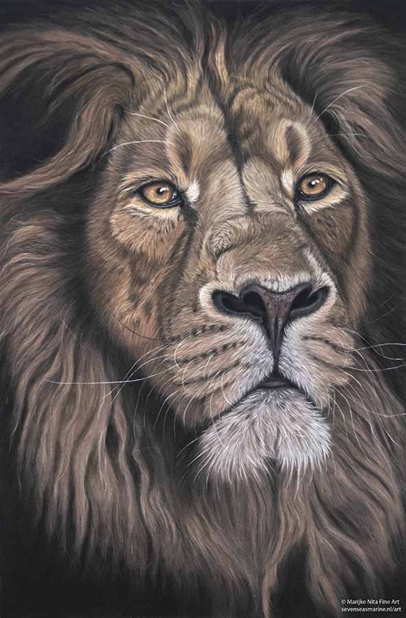 Lion in pastels