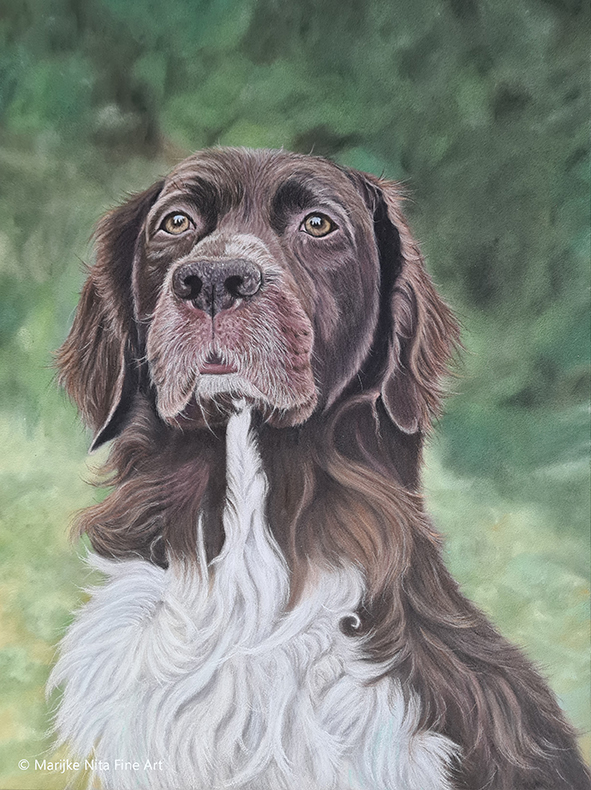 Pronto in pastels