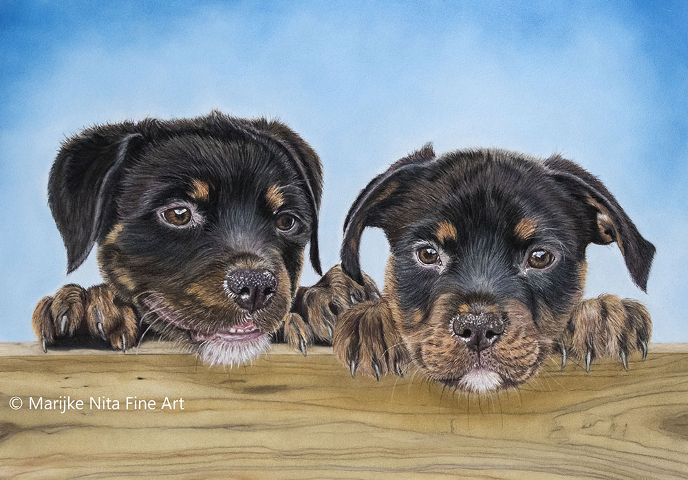 Misha and Max in pastels