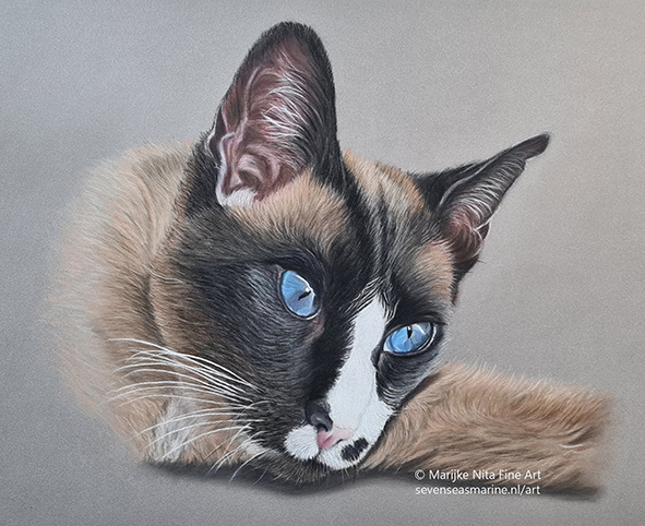 Harley in pastels