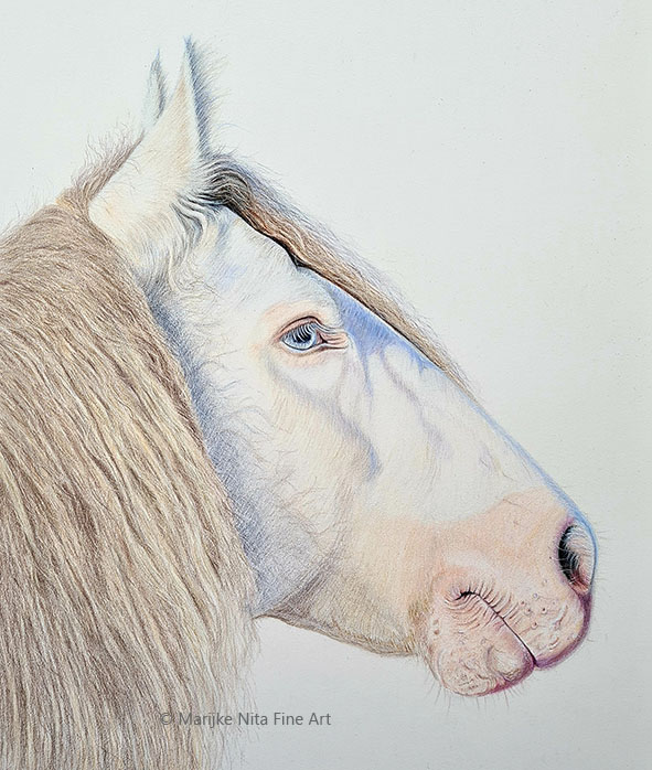 Smokey cream gypsy in colour pencil