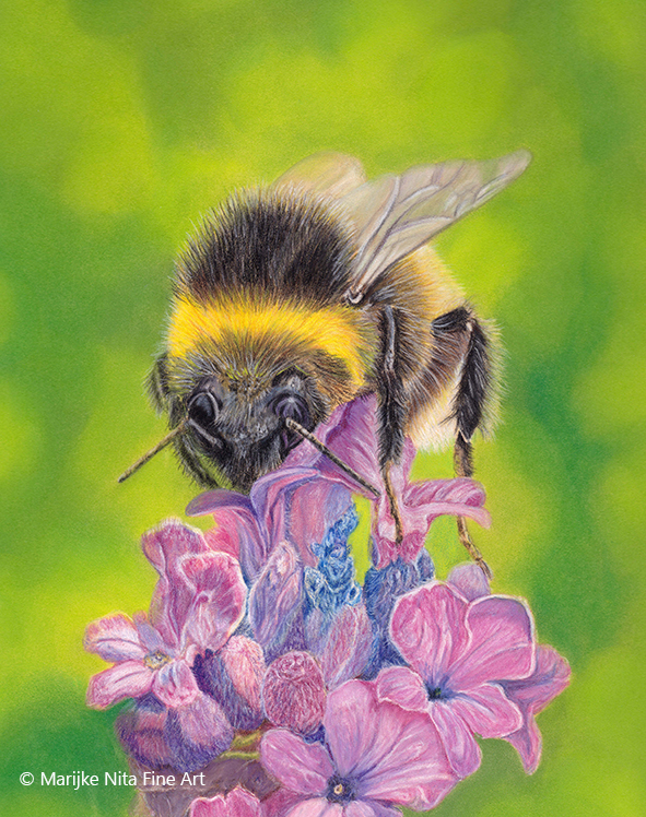 bumblebee in mixed media