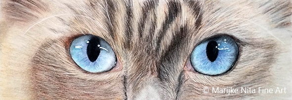 Cat Eyes in mixed media
