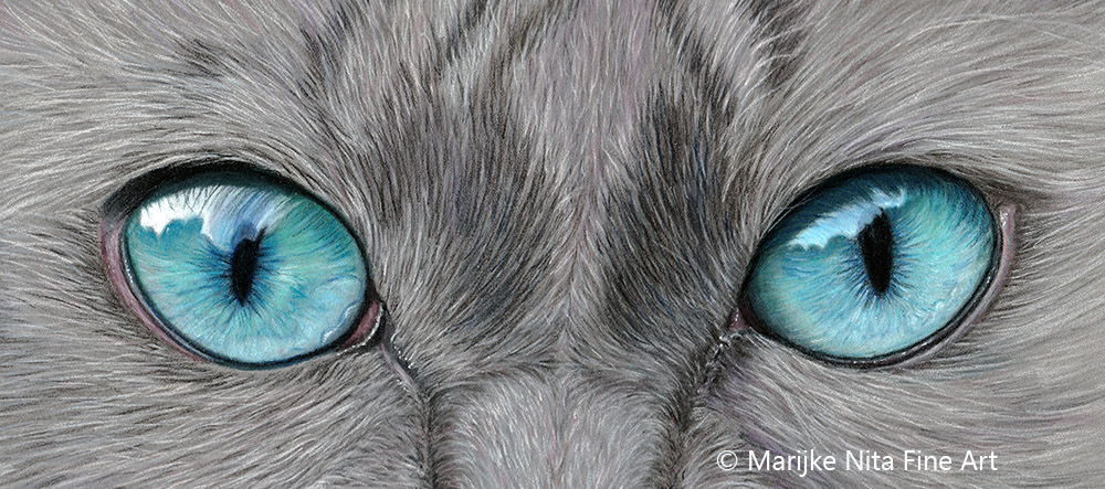 Cat Eyes in pastels