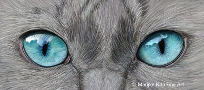 Cat Eyes in pastels