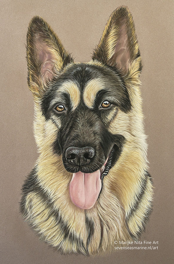 Senna in pastels