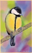Great tit in pastel
