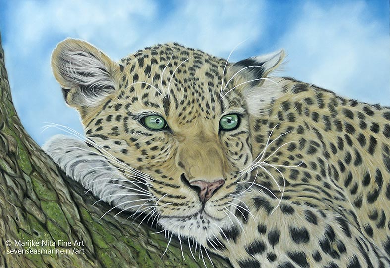 Leopard in pastels
