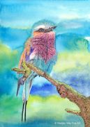 Lilac breasted roller in mixed media