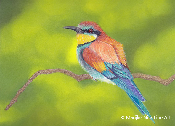 Beeeater in mixed media