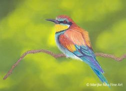 Beeeater in mixed media